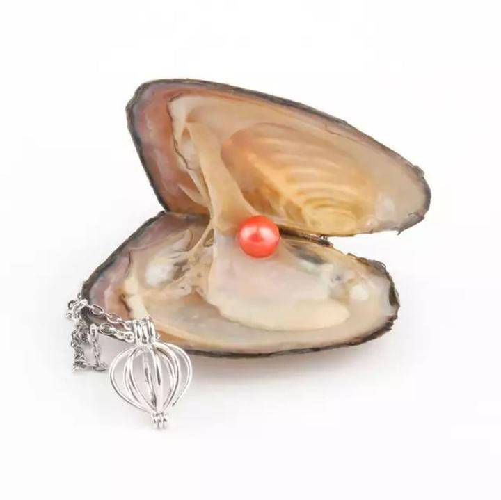 Natural Oyster Pearl Necklace Best Sellers Jewelry Natural Oyster Pearl Necklace Best Sellers Jewelry